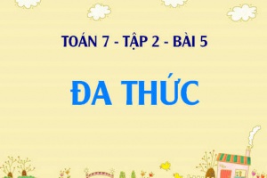 Đa thức là gì? Bậc của đa thức là gì? Cách thu gọn đa thức và Bài tập vận dụng - Toán 7 tập 2 bài 5